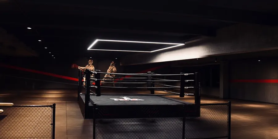 De ring in de zaal van Team Champ in Uithoorn, met de muurschildering van twee boksers