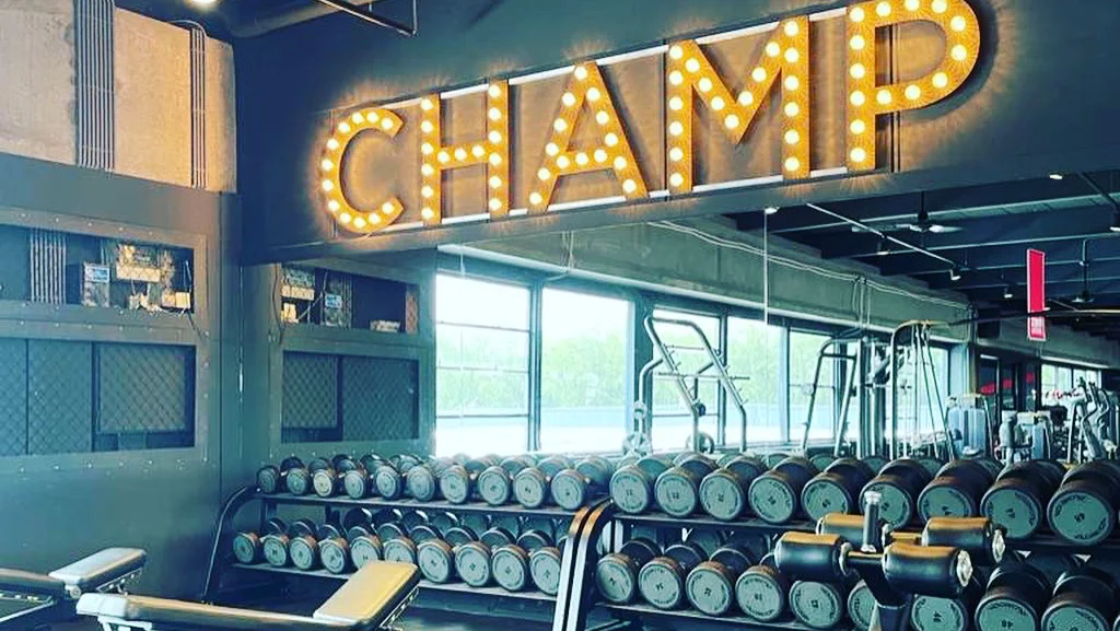 Fitness & Vrij Trainen