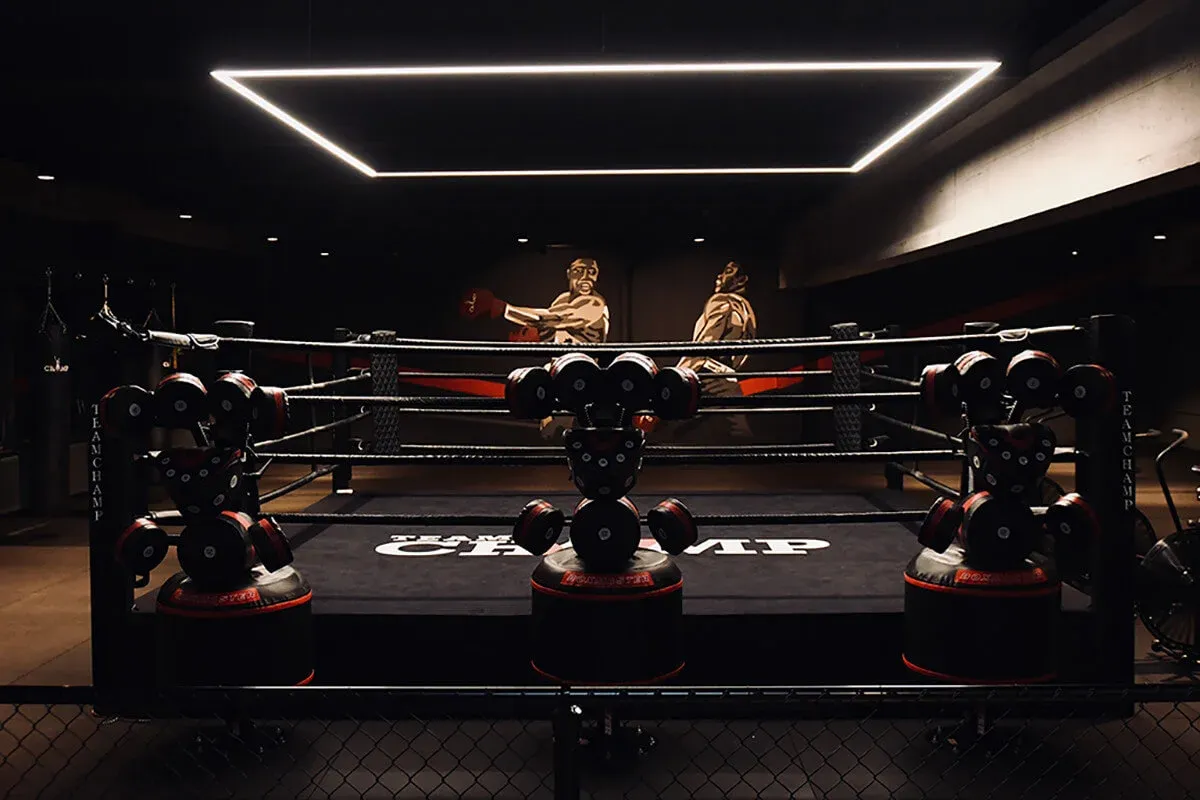 Ring, bokszakkenhal en gym.